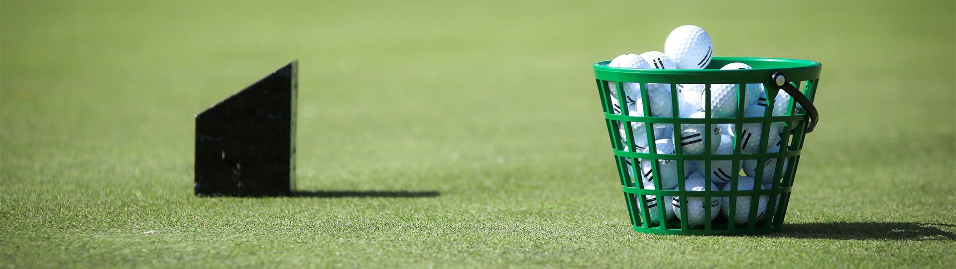 Hink med bollar på rangen